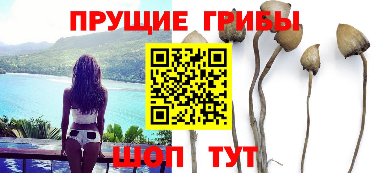 Галлюциногенные грибы прущие грибы Москва